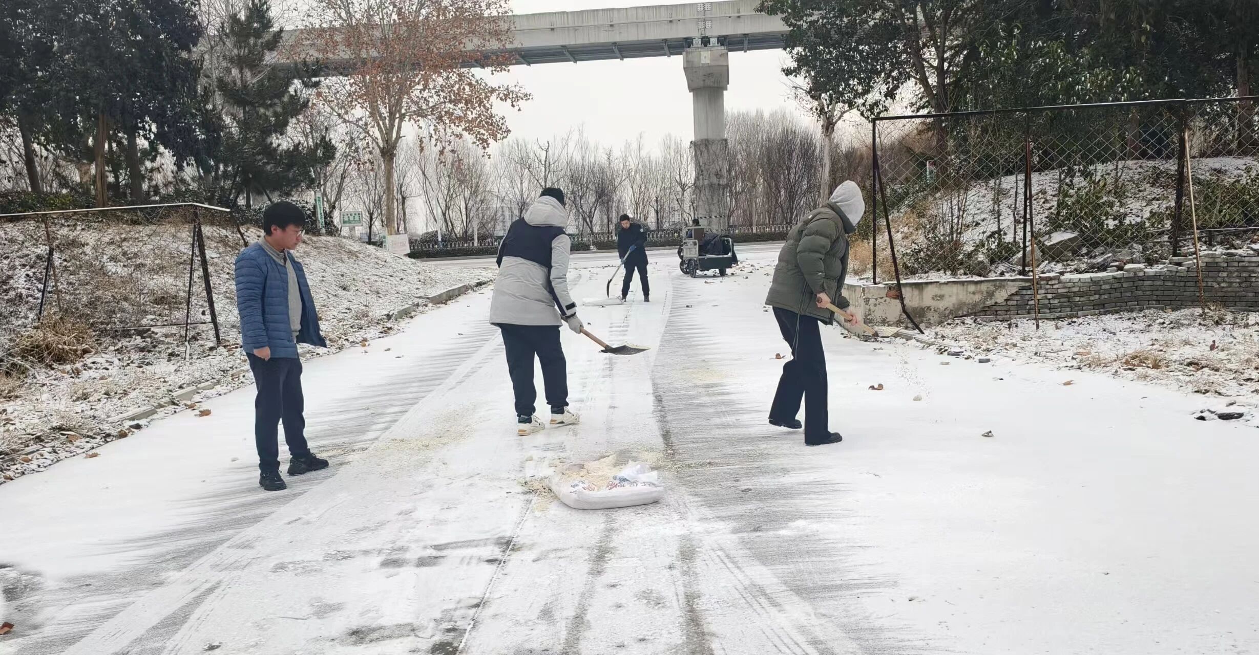 ��ů¡��·���޳���ҵȫ����������ѩ��1